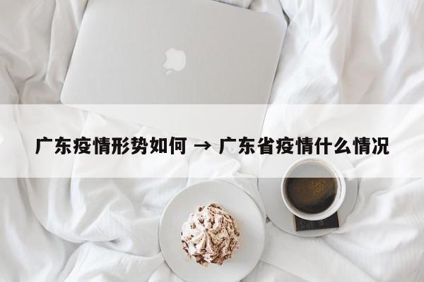 广东疫情形势如何 → 广东省疫情什么情况