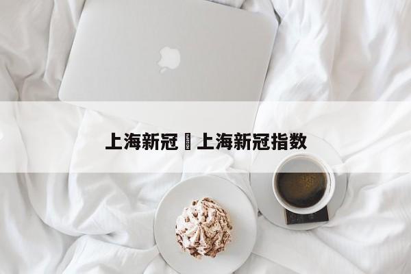 上海新冠›上海新冠指数