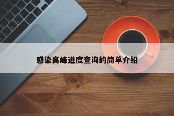 感染高峰进度查询的简单介绍