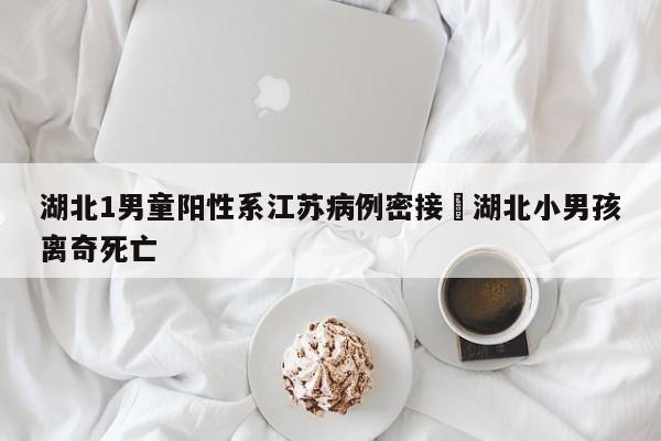 湖北1男童阳性系江苏病例密接›湖北小男孩离奇死亡