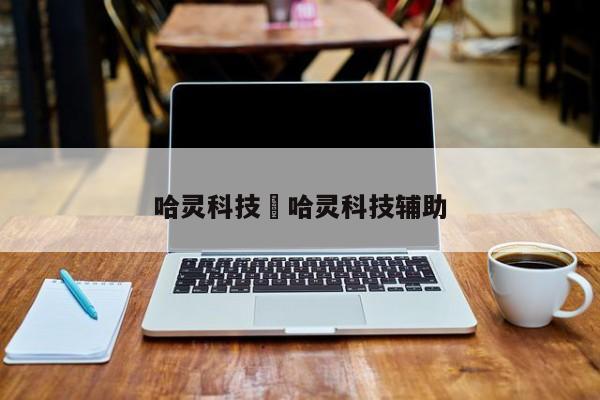 哈灵科技›哈灵科技辅助
